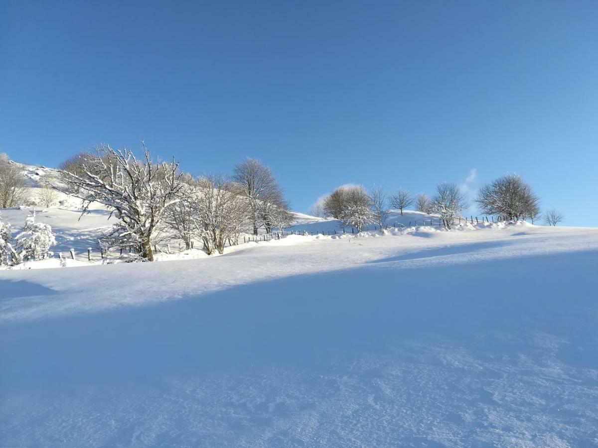 Gites De Moyenmont La Bresse Exterior foto